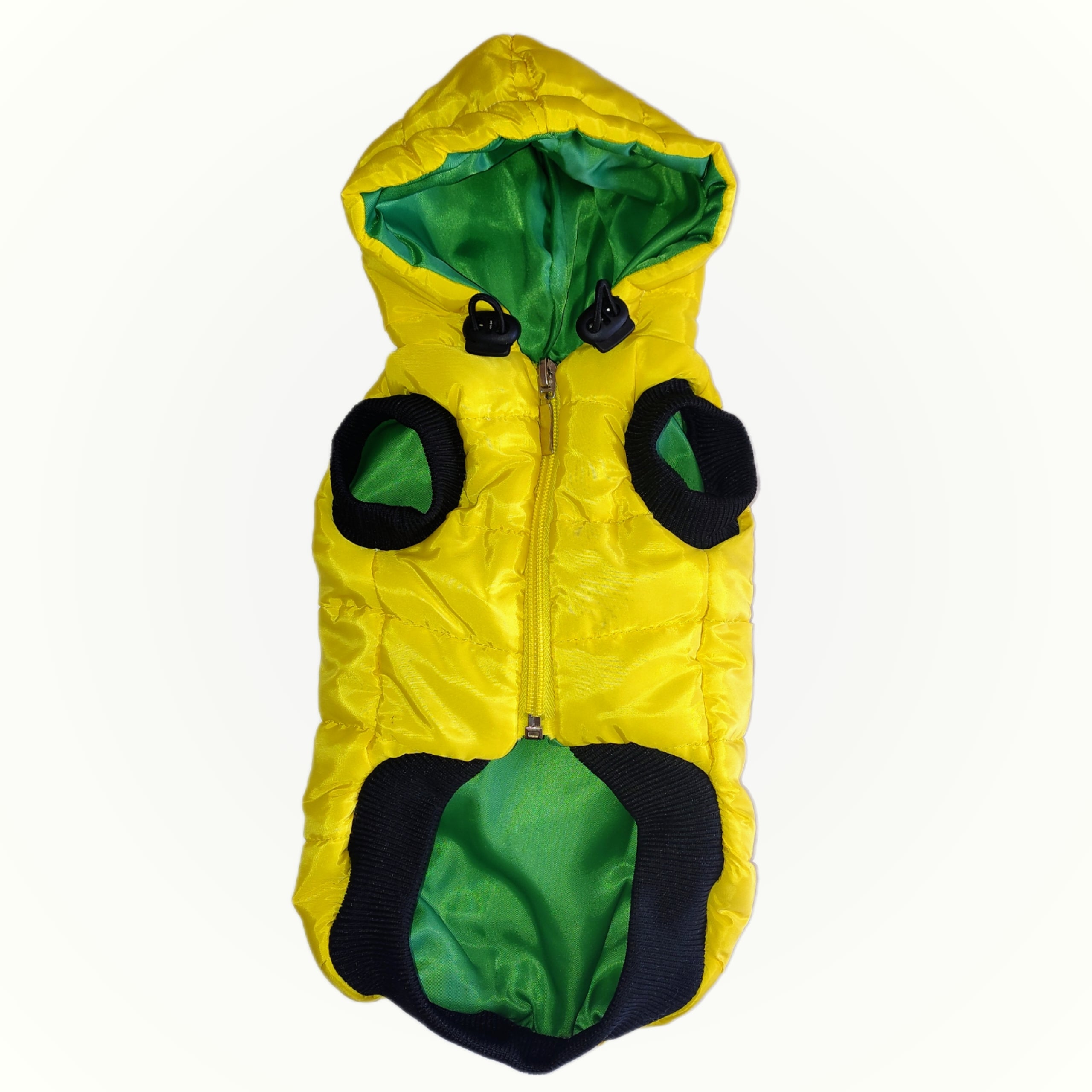 Bright Padded Dog Jacket with Hood☀️