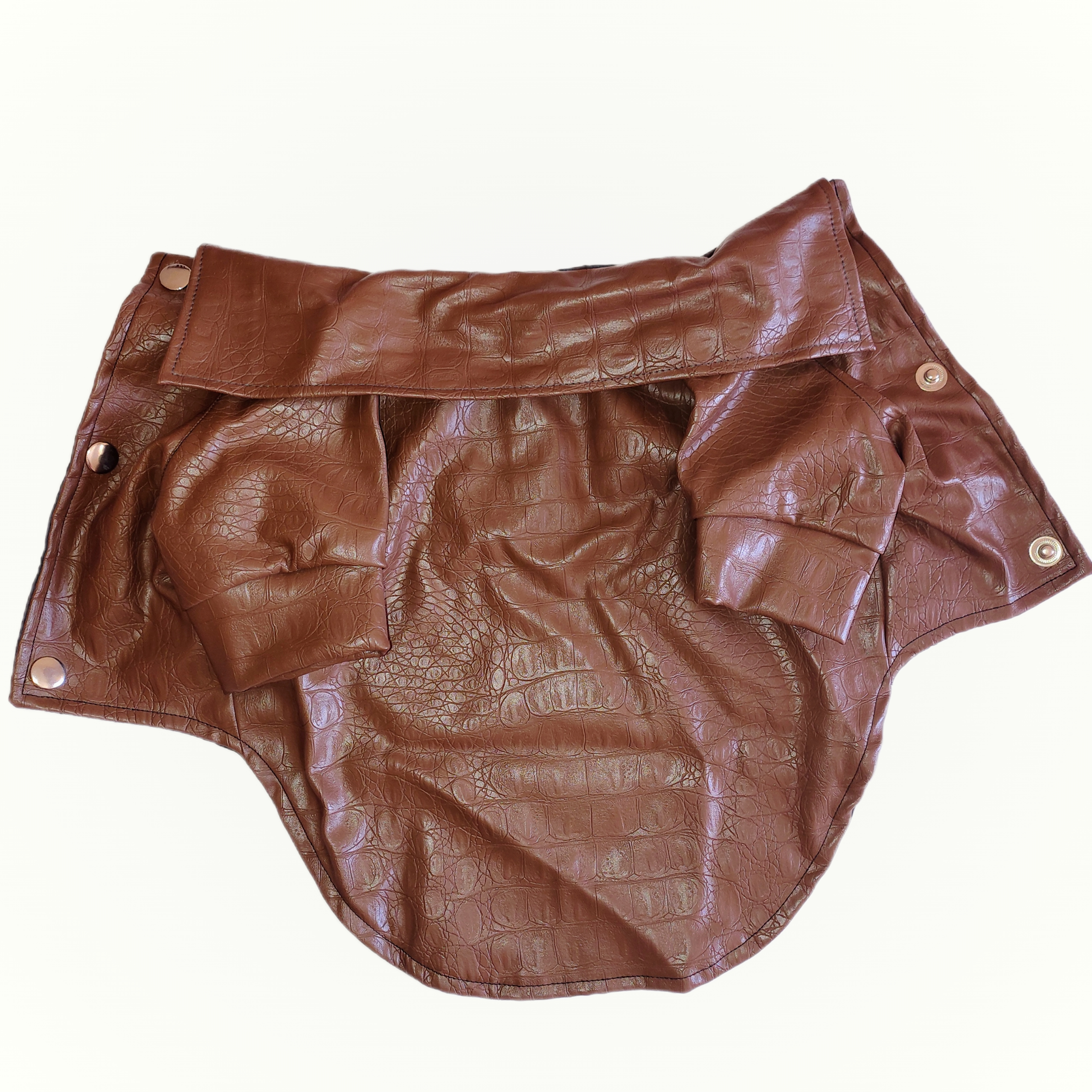 Stylish Leather Jacket for Dogs