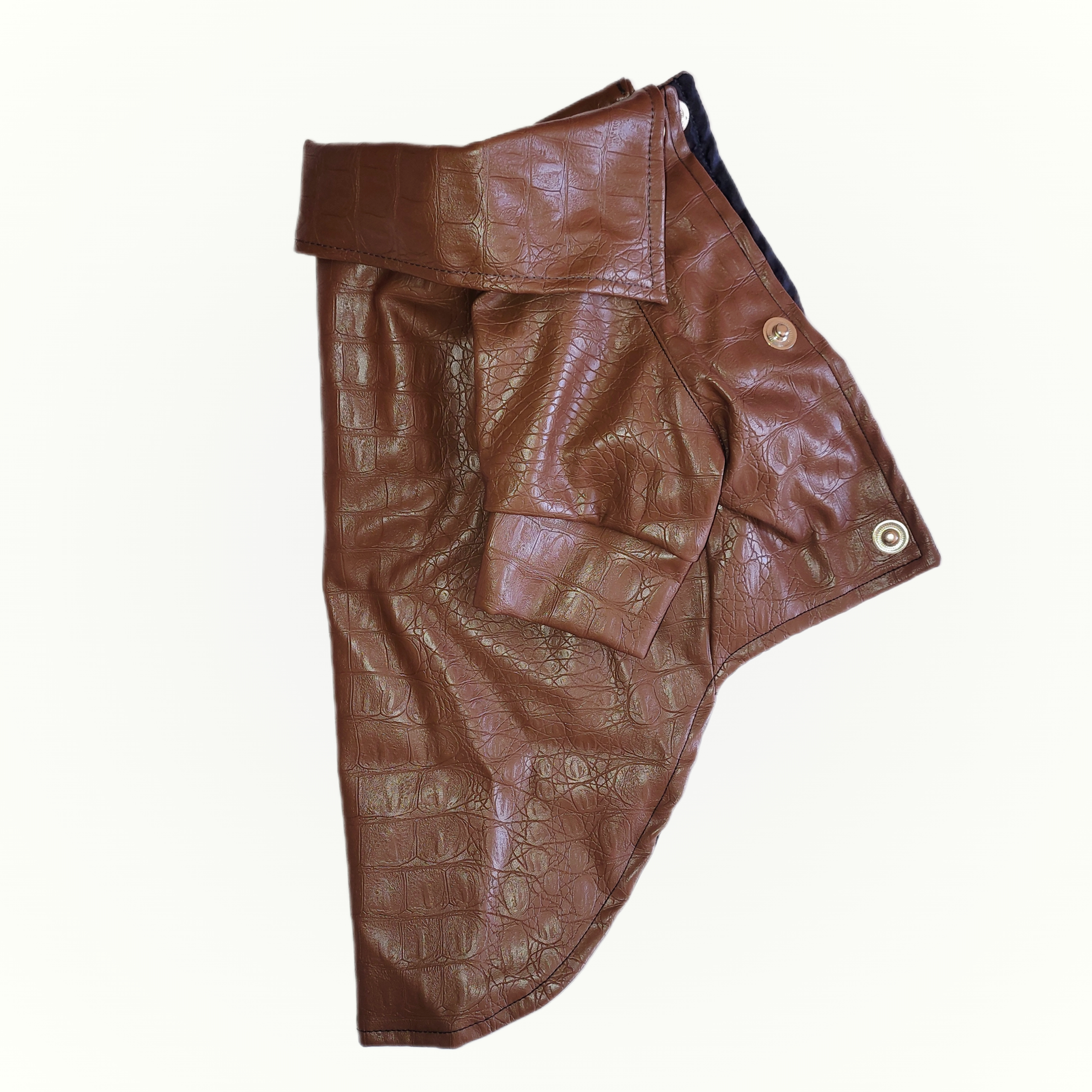 Stylish Leather Jacket for Dogs