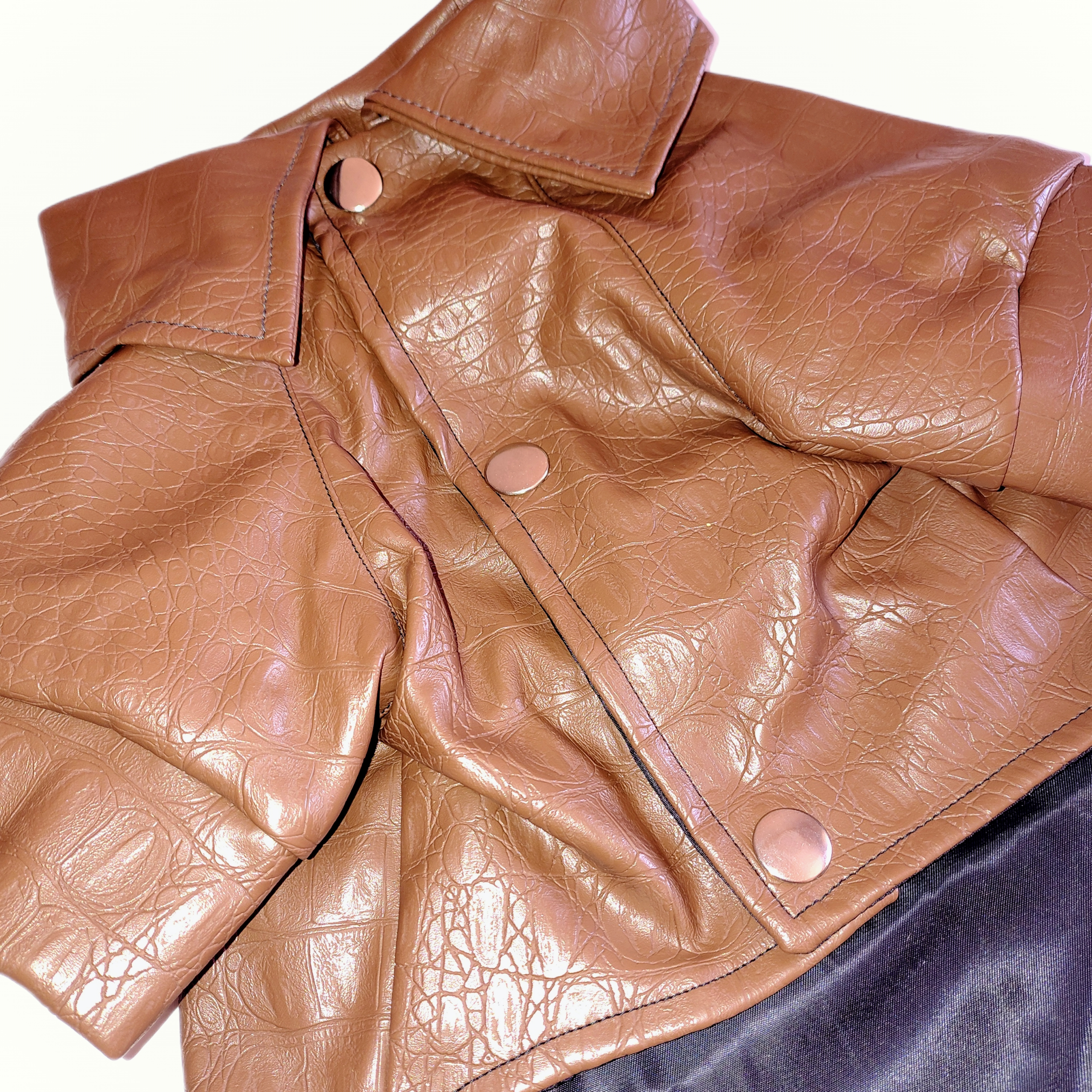 Stylish Leather Jacket for Dogs