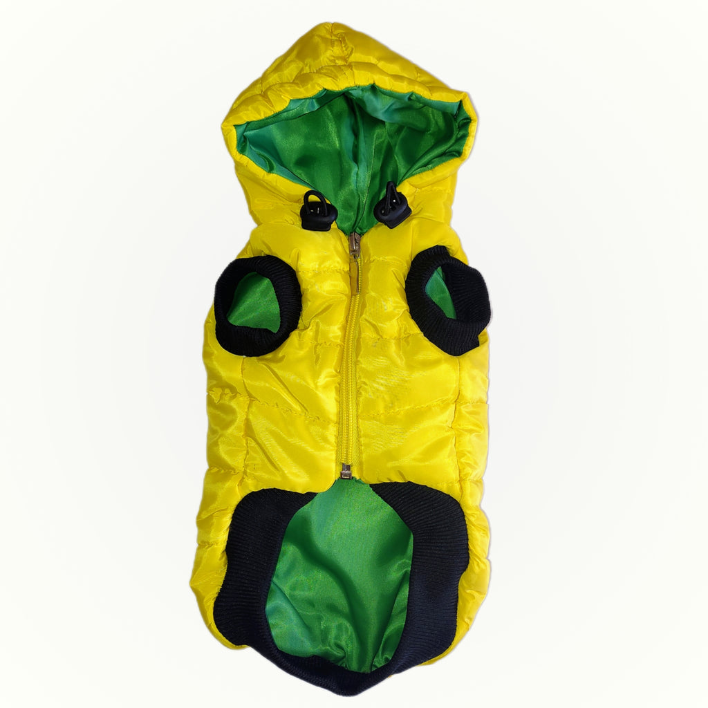 Bright Padded Dog Jacket with Hood☀️