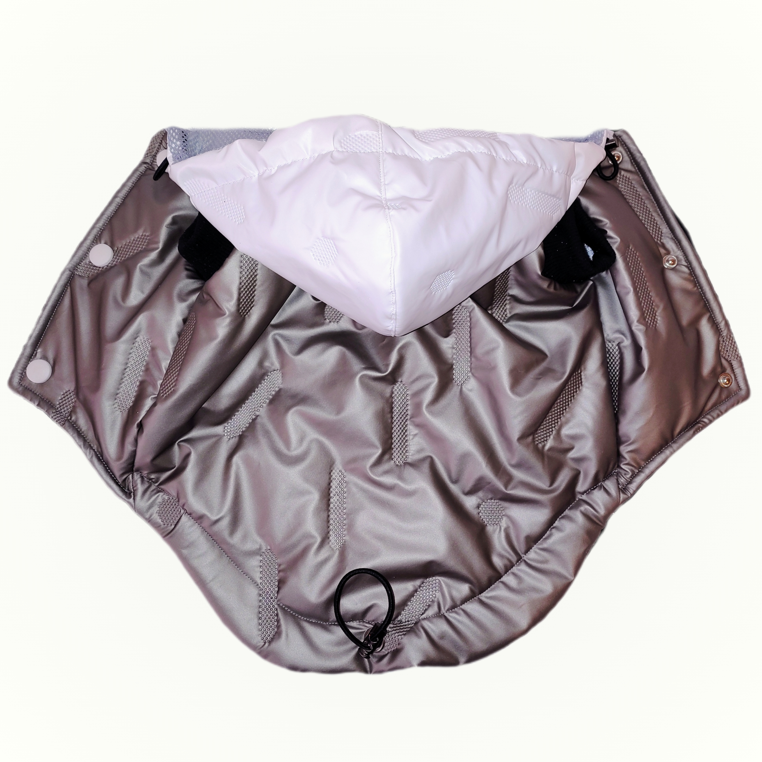 Winter Waterproof Set for Dogs (Jacket + Boots) ❄️🐾